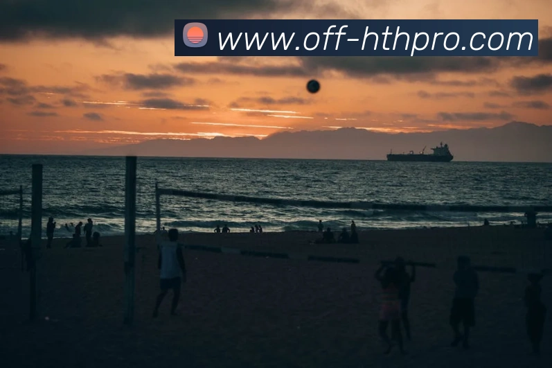 华体会官方入口平台生态图