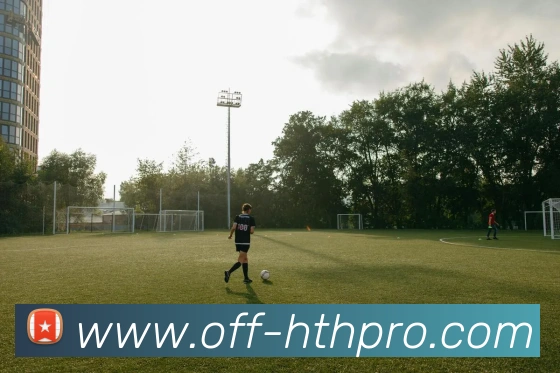 华体会官方入口品牌故事